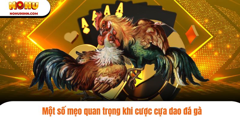 Một số mẹo quan trọng khi cược cựa dao đá gà