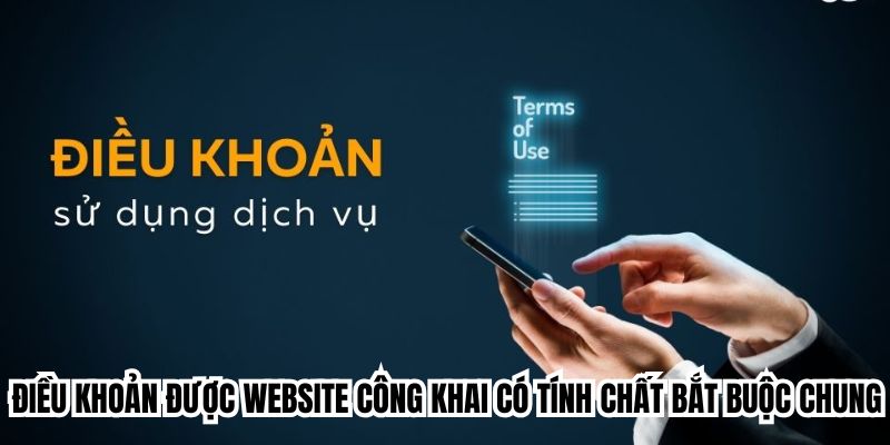 Điều khoản được website công khai có tính chất bắt buộc chung 